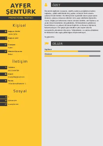 Pastacı Cv Örnekleri cv indir